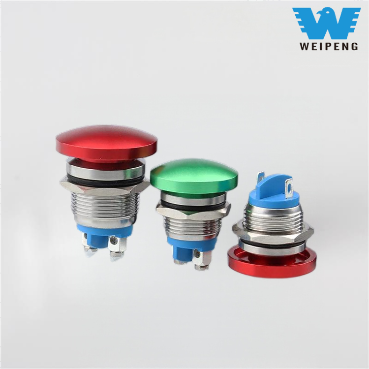 Bouton-poussoir métallique à tête champignon, 16/19/22mm, interrupteur de réinitialisation