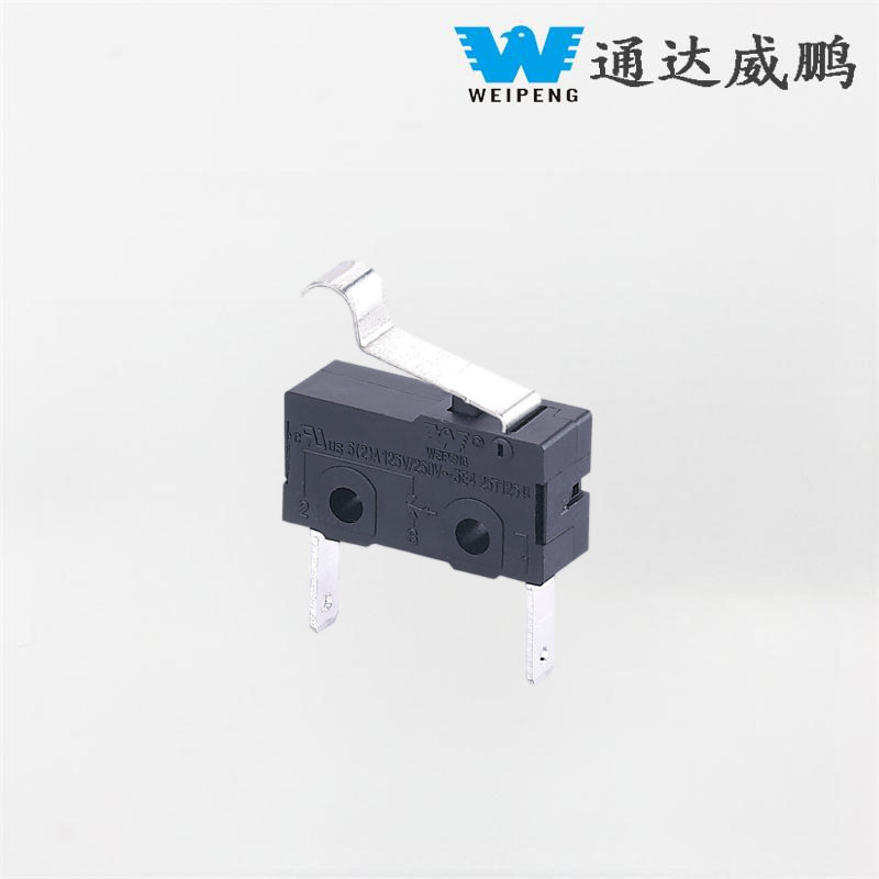 Micro-interrupteur de Station de charge automobile, anti-poussière, 5A, 2 broches, HK-04G-L